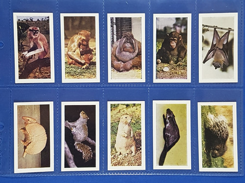 Hornimans tea cards wild - hornimans,