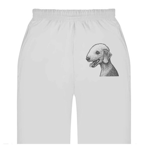 Bedlington terrier adult - 'bedlington,