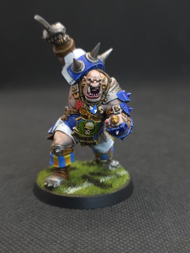 Blood bowl pro painted - blood,