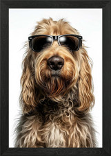 Cool Otterhound Dog with