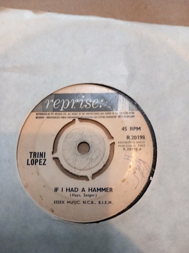 Trini lopez had - trini,
