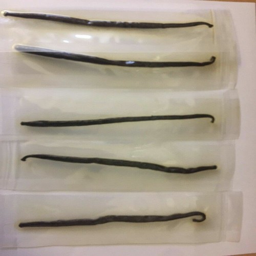 Madagascar vanilla pods - madagascar,
