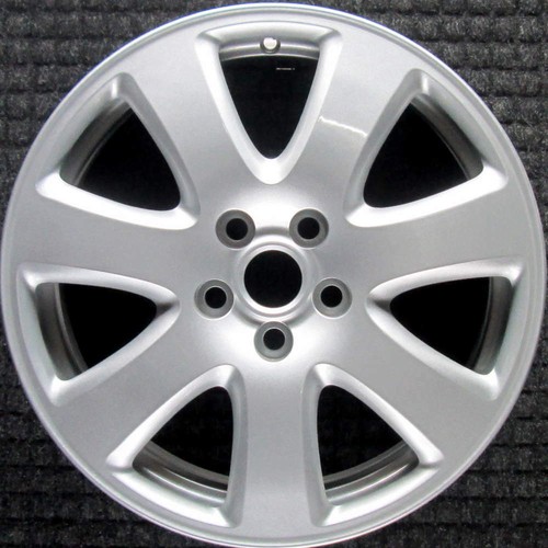 Jaguar type painted inch - painted, 17