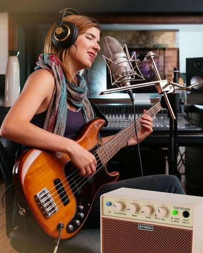 Electric bass amp - bass,