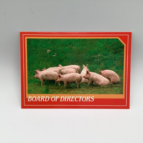 Board directors sounder of - board,
