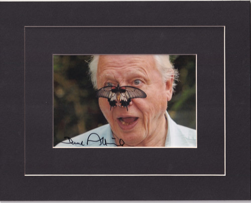 Sir david attenborough signed - sir,