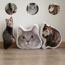 Personalized 3D Face Pillow