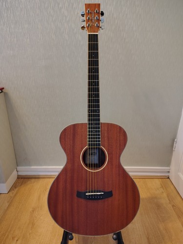 Tanglewood acoustic - tanglewood, tw