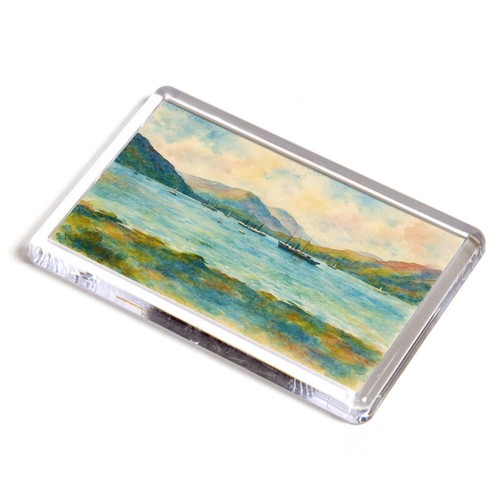 Fridge magnet holy - magnet,