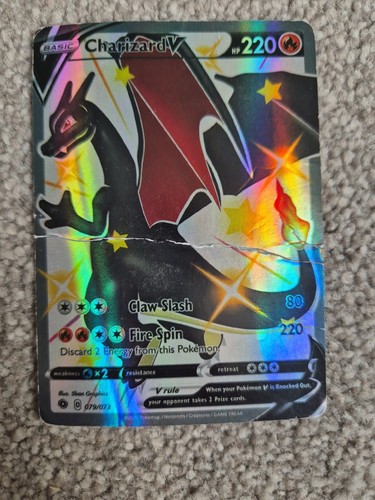 Pokemon charizard shiny - charizard,
