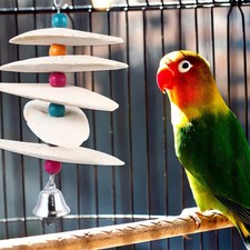 Pet bird cuttlebone calcium - pet,