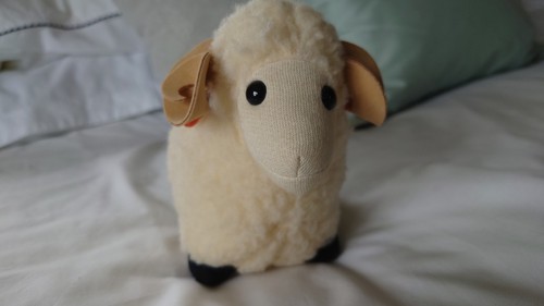 Robin rive ram - robin,