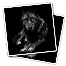 2x Vinyl Stickers Calm Black Wolf Wolves Dog #52698