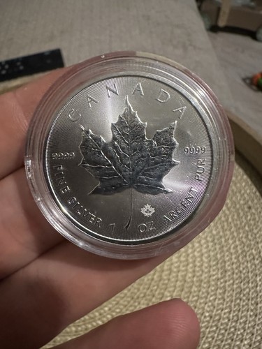 2022 canadian maple - maple, 1