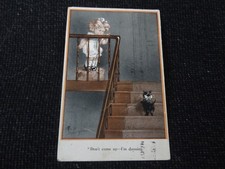 Artist Signed Fred Spurgin Comic Cat Greetings Postcard - 110701