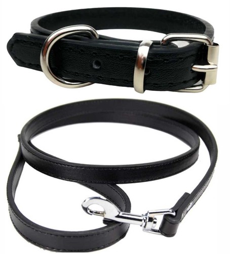 Vibrant leather dog - vibrant,