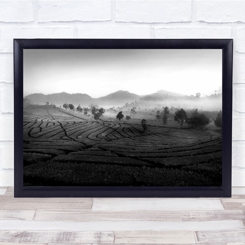 Countryside farming rural fog - countryside,