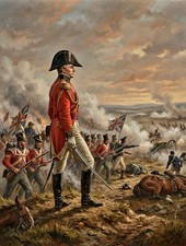 WATERLOO 1815 THE DUKE OF