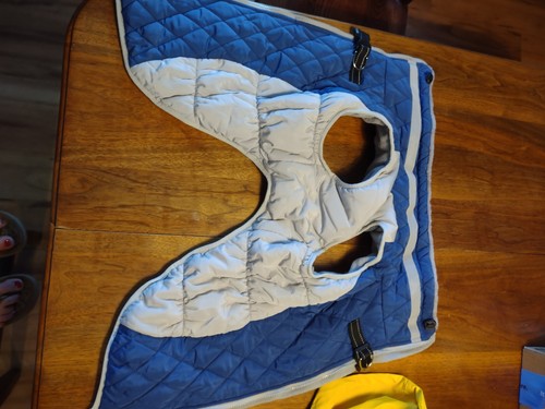 Dog coat for - dog, winter
