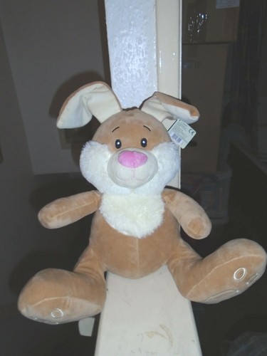 Easter brown bunny rabbit - ,