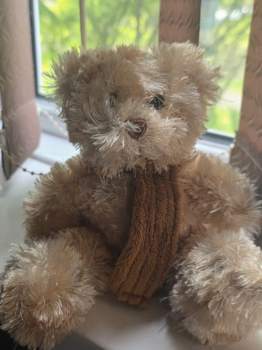 The plush ltd soft teddy - ltd,