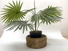 Vintage Hillstonia Moira Stoneware Bark Pottery Log Planter Bowl 1950s #9427