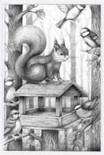 Hand Drawn Squirrel And Friends Black & White Sketch Printed On Card Size A4