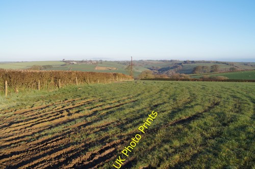 Photo farm land - farm, of