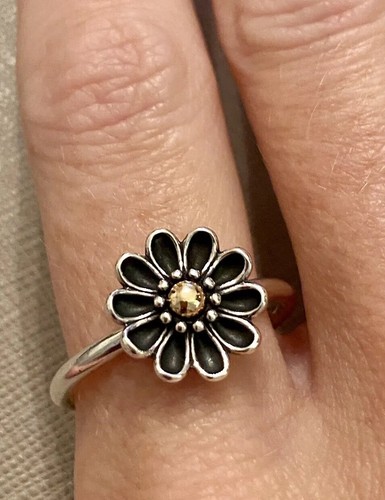 Genuine new pandora two - two, tone