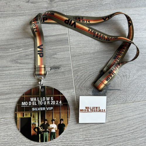 Wallows model tour 2024 - wallows,