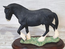 Country Artists Rare Large