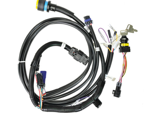 Quicksilver key switch - key,