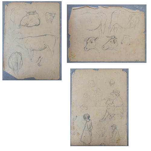 Cows horse sketch animals - cows,,