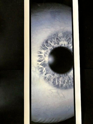 Eye vertical photograph - vertical,