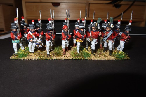 Perry 28mm pro painted - perry, pro-painted