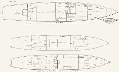 Steam yacht cabin plan - yacht,