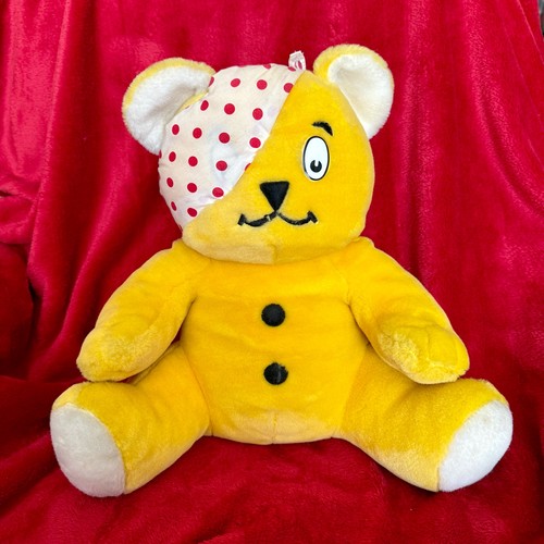 Large pudsey bear - pudsey, in