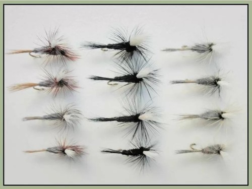 Pack parachute dries - 12,