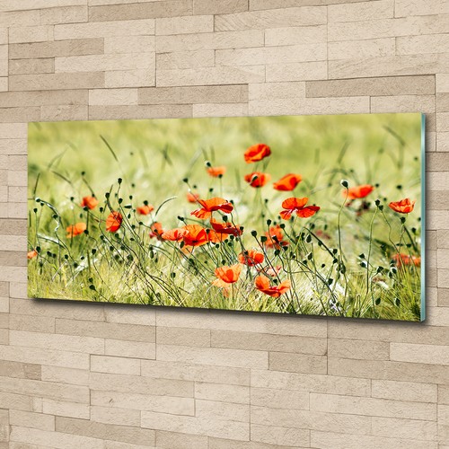Glass print wall art image - wall,