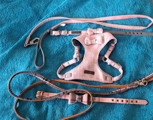 Wainwright dog set - wainwright's, harness