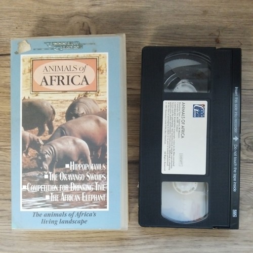 Animals africa video - of, gems