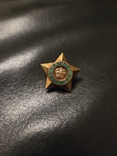 Prison Service Star Badge
