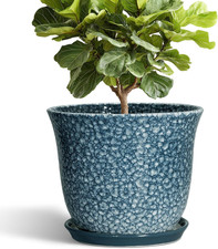 Large 12" Blue Ceramic Plant