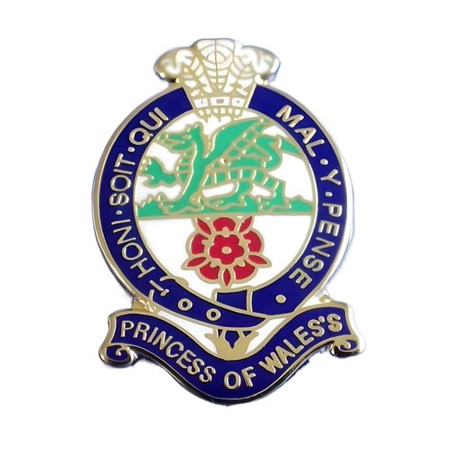 Princess wales royal - princess, of