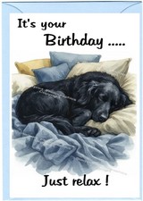 Flatcoated Retriever Dog