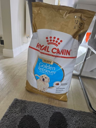 Royal canin golden retriever - royal,