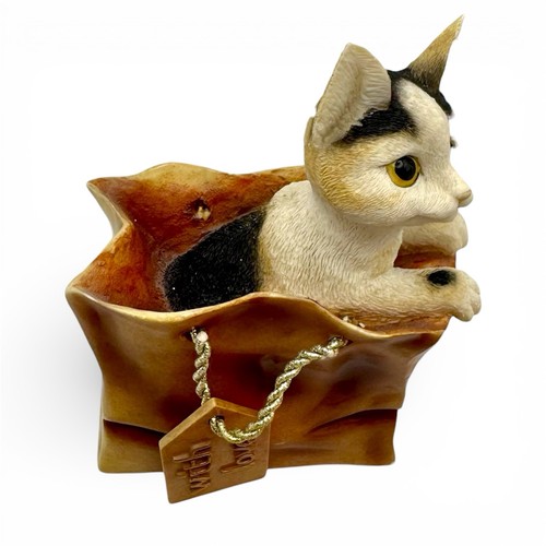 Leonardo collection cat - collection,