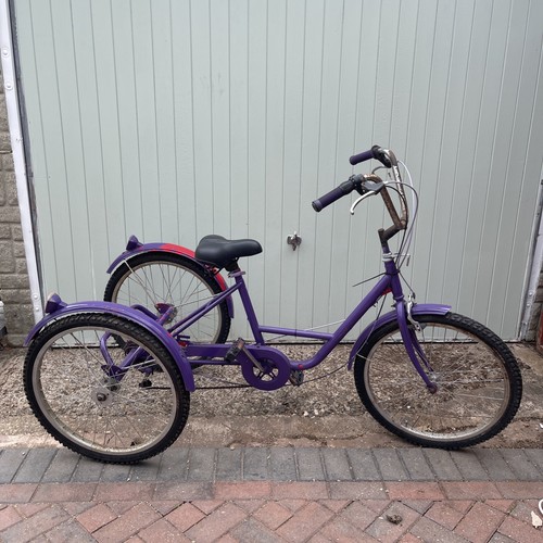 Vintage adults trike - vintage,