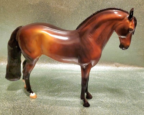 Peter stone andalusian - peter,