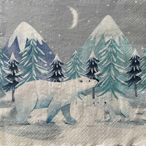 Luncheon paper napkins for - 2,